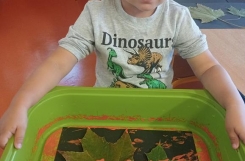 IMG20241001101330 
